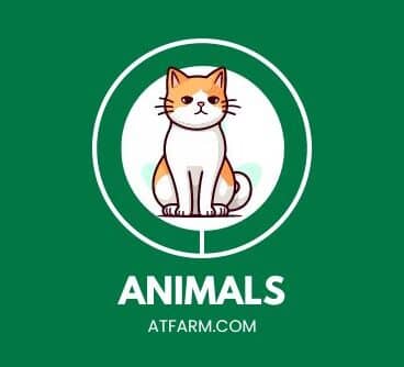 animalsatfarm.com